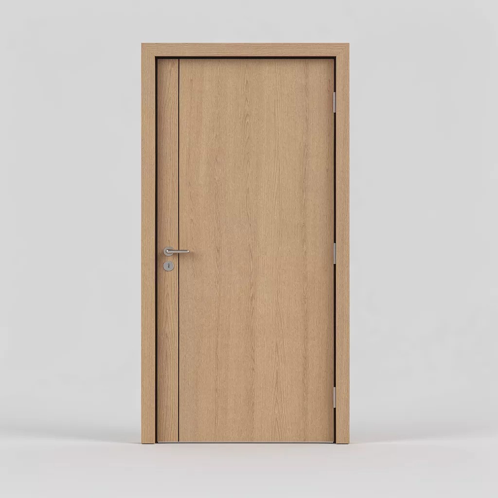 Flush Door
